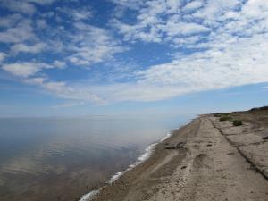 391569_10151168971369665_2102370805_n